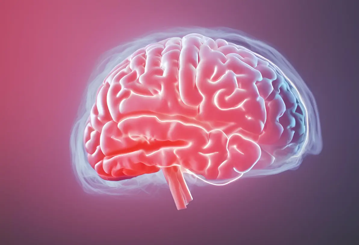 mózg otoczony mgłą